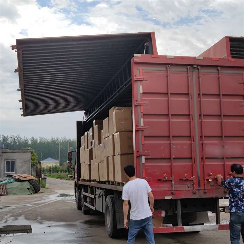 丹巴县扎囊县：物流专线的高效货运之旅